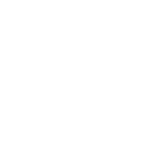 bitsight transparent