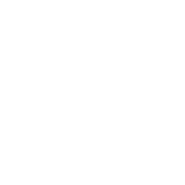 actifio resized