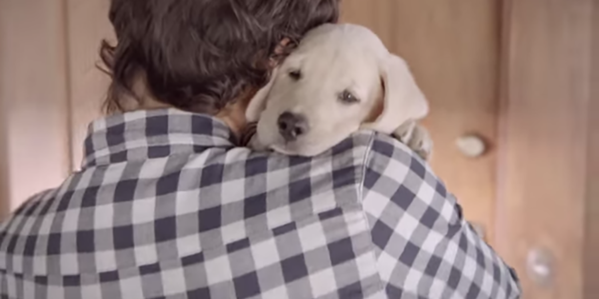 Ads I'm loving this week Ads I'm loving this week