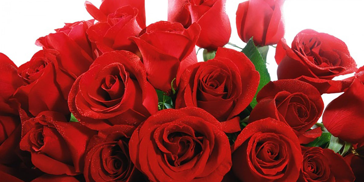 4 lessons marketers can learn from the bachelorette 4 lessons marketers can learn from the bachelorette